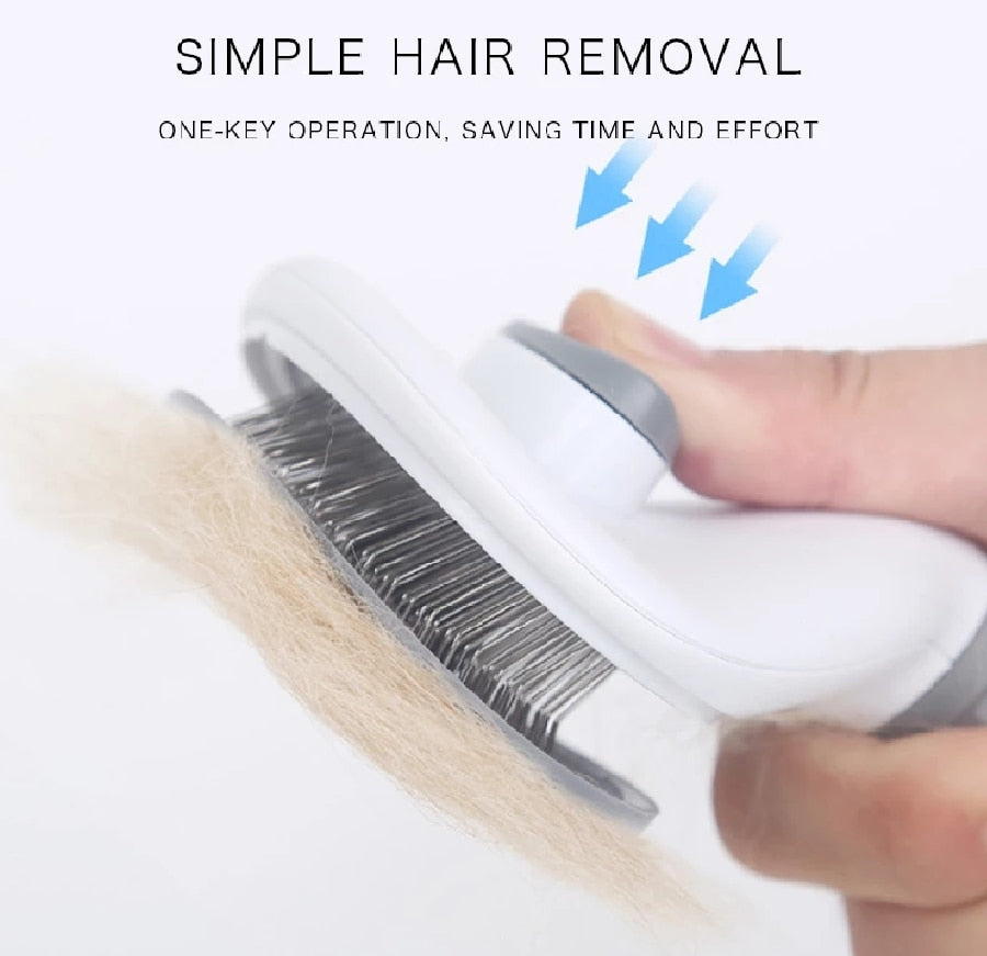 Hair Cleaning Brush