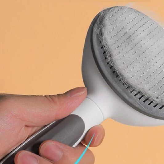 Hair Cleaning Brush