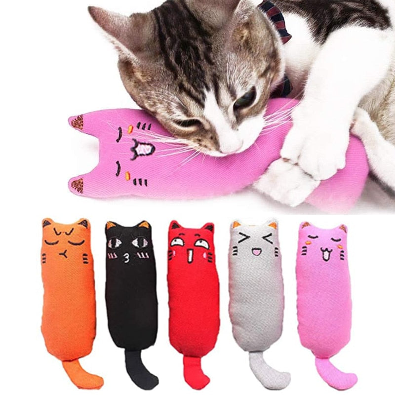 Cat Catnip Toy