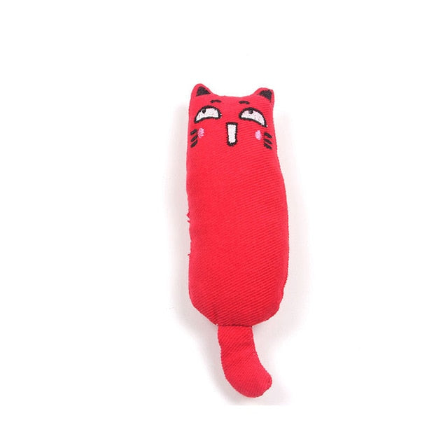 Cat Catnip Toy