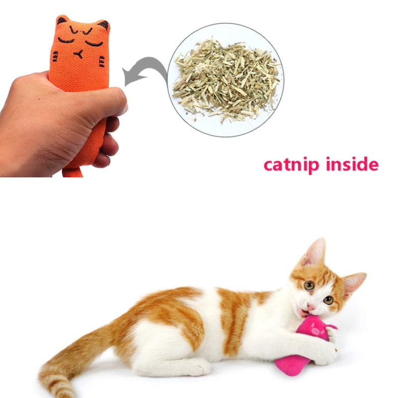 Cat Catnip Toy